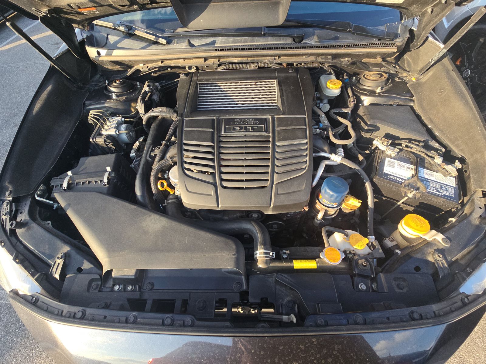 2019 Subaru WRX Base AWD