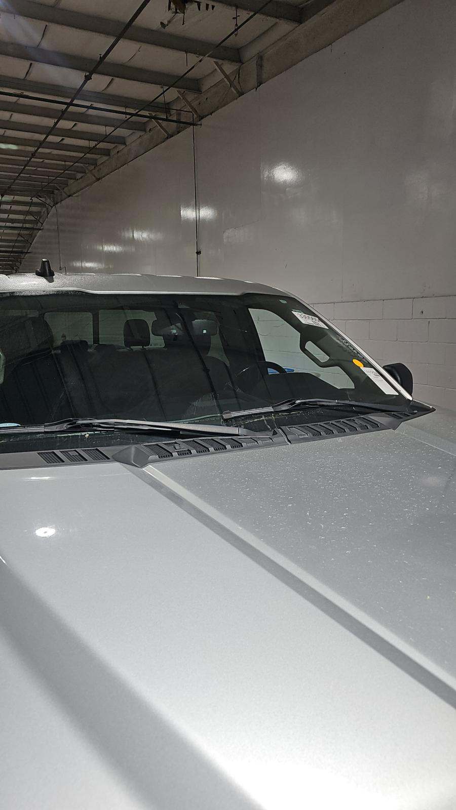 2019 Ford F-150 XLT RWD