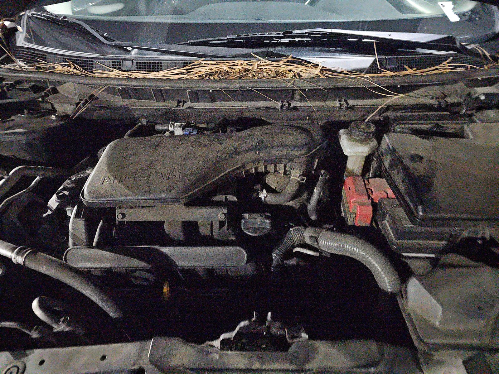 2019 Nissan Rogue Sport SV FWD