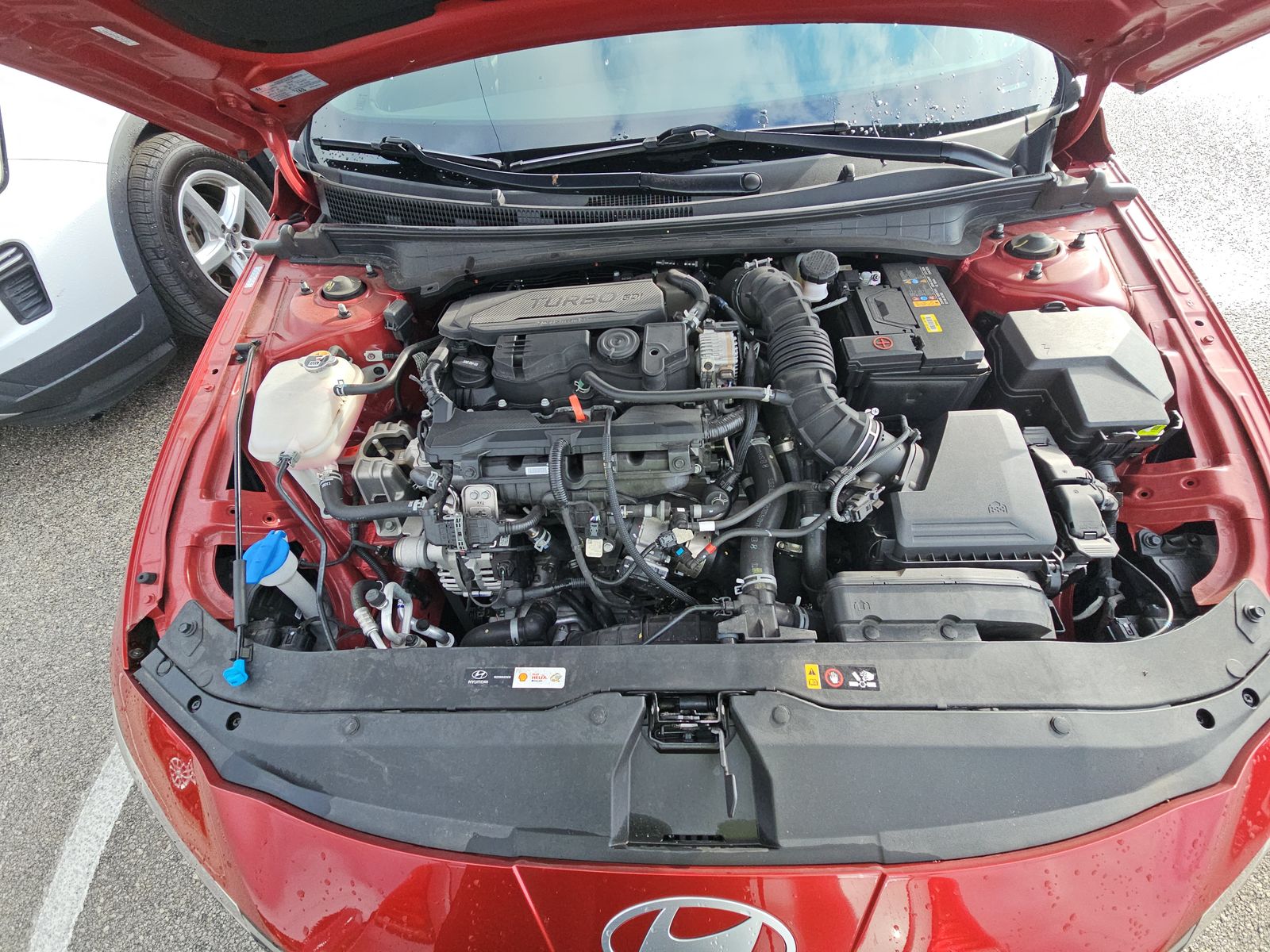 2024 Hyundai Elantra N Line FWD