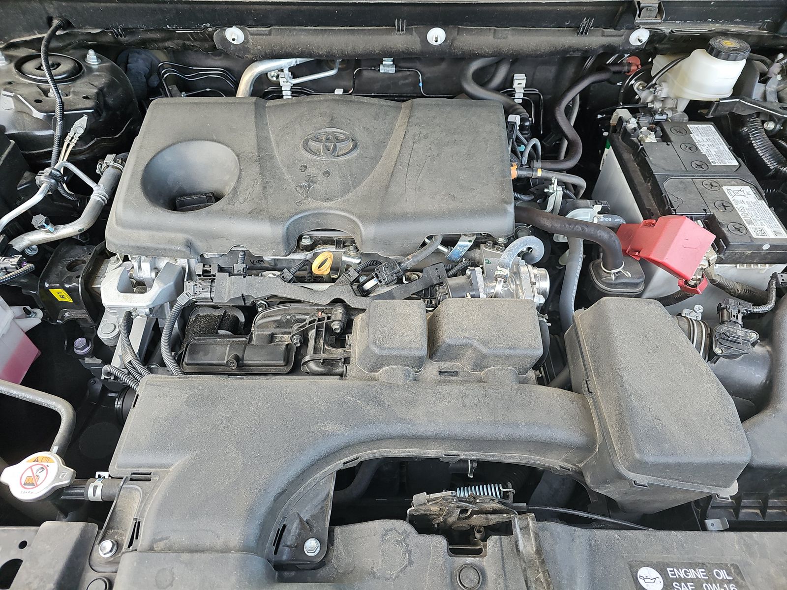 2024 Toyota RAV4 XLE AWD