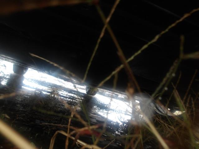 2024 Toyota Prius LE FWD