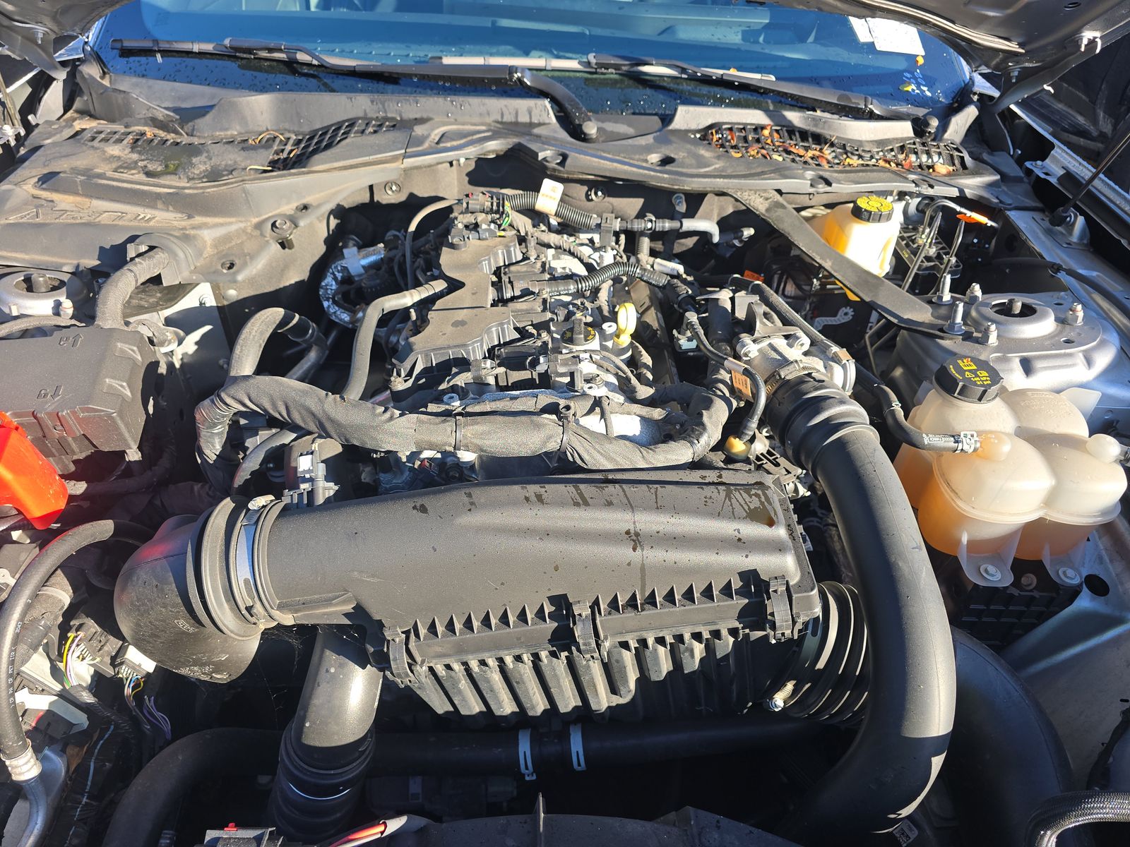 2024 Ford Mustang EcoBoost Premium RWD