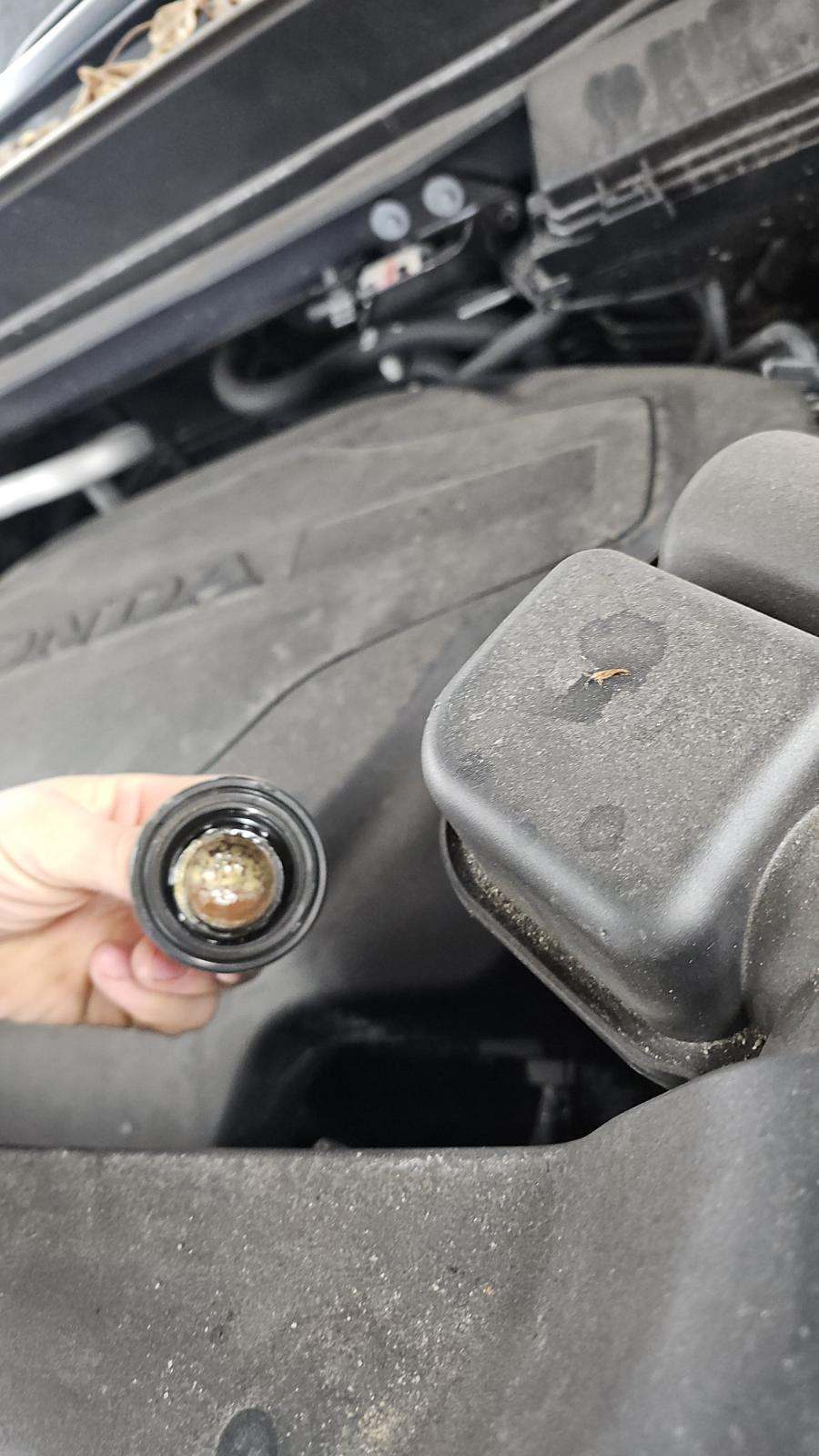 2022 Honda Pilot Special Edition AWD