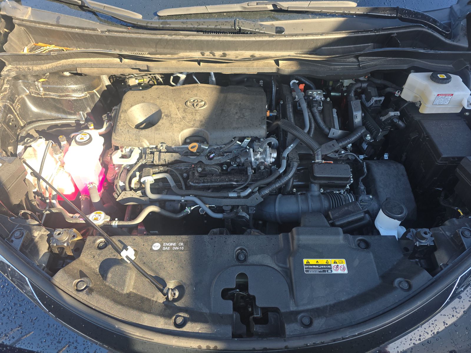 2024 Toyota Sienna LE FWD