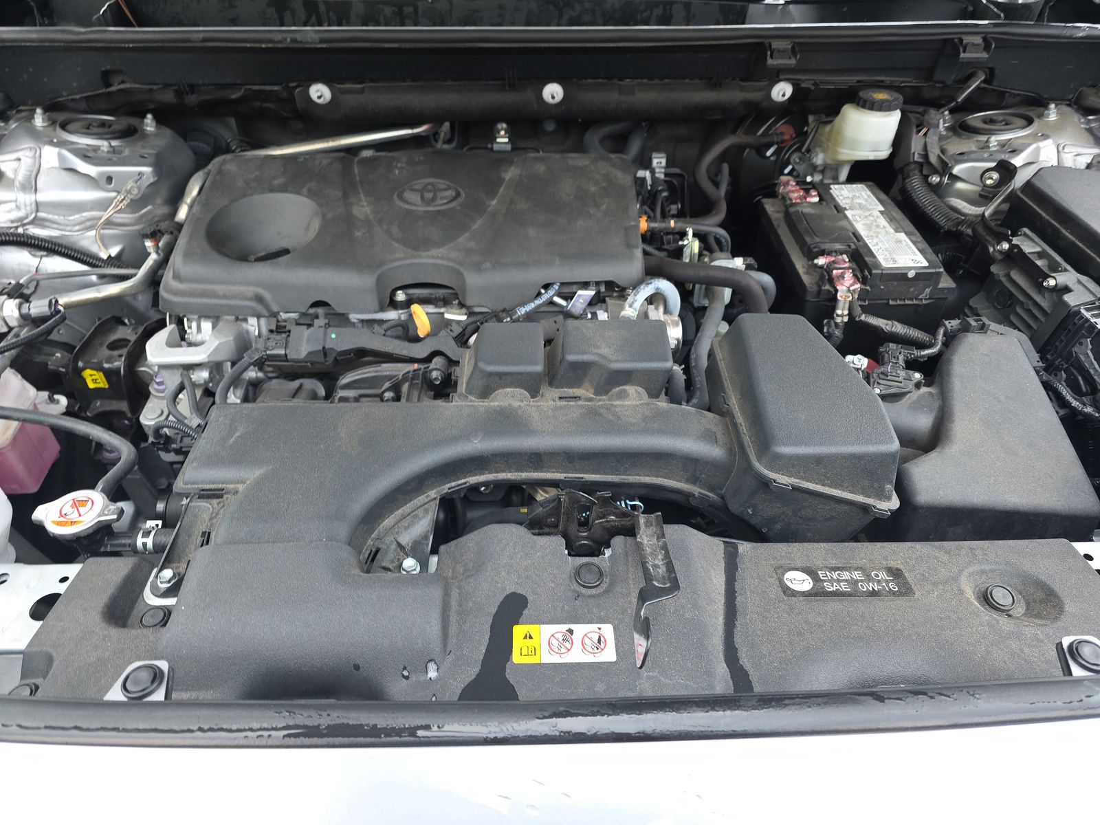 2023 Toyota RAV4 LE FWD