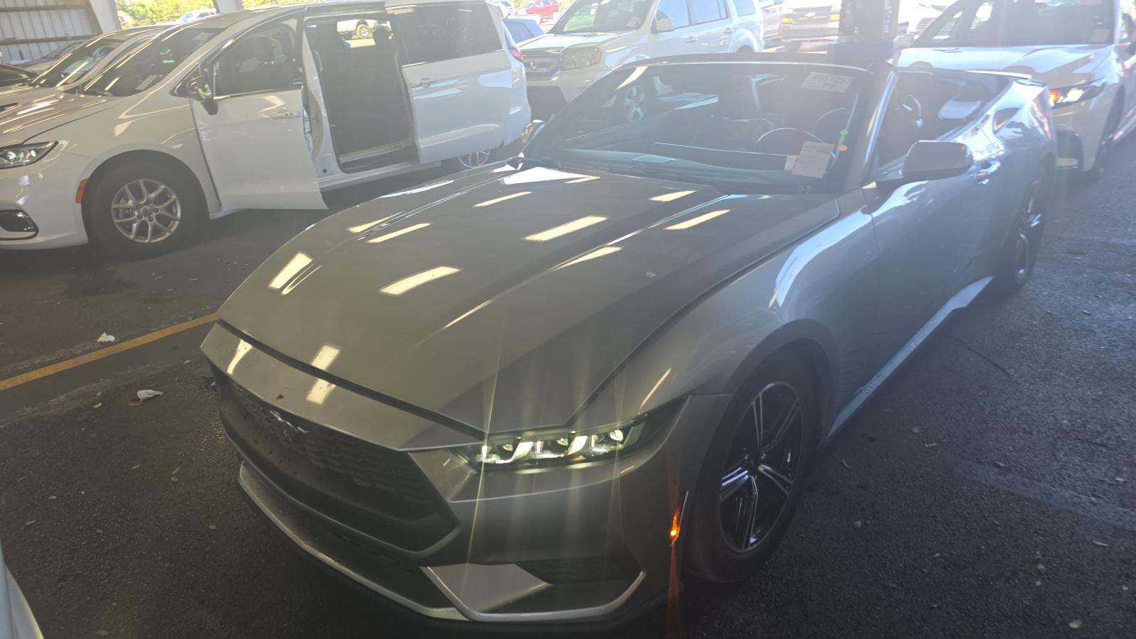 2024 Ford Mustang EcoBoost Premium RWD