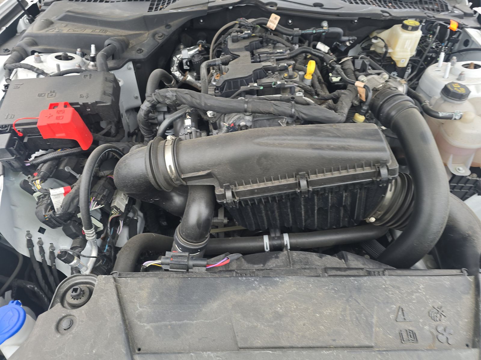 2024 Ford Mustang EcoBoost Premium RWD