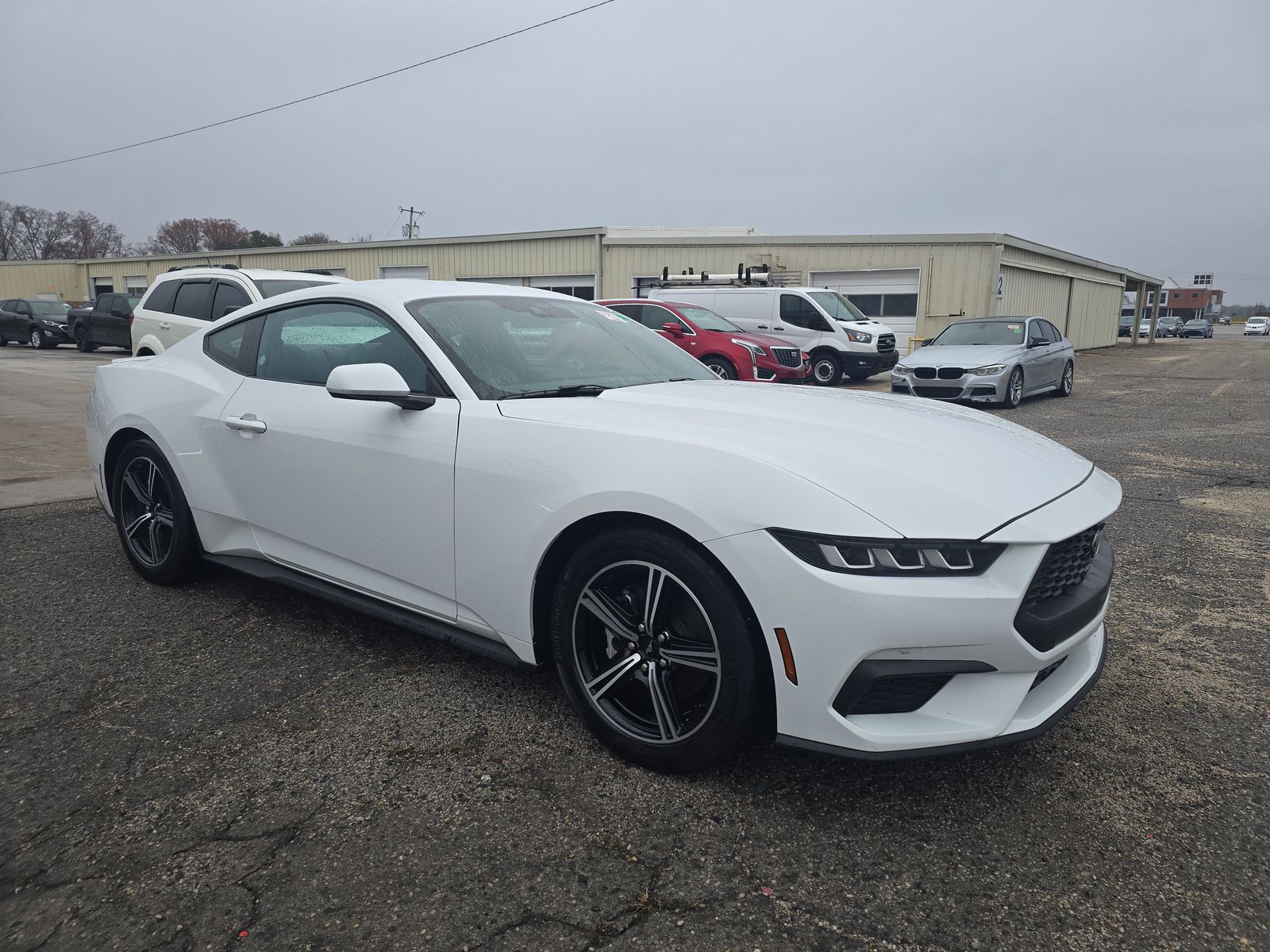 2024 Ford Mustang EcoBoost Premium RWD