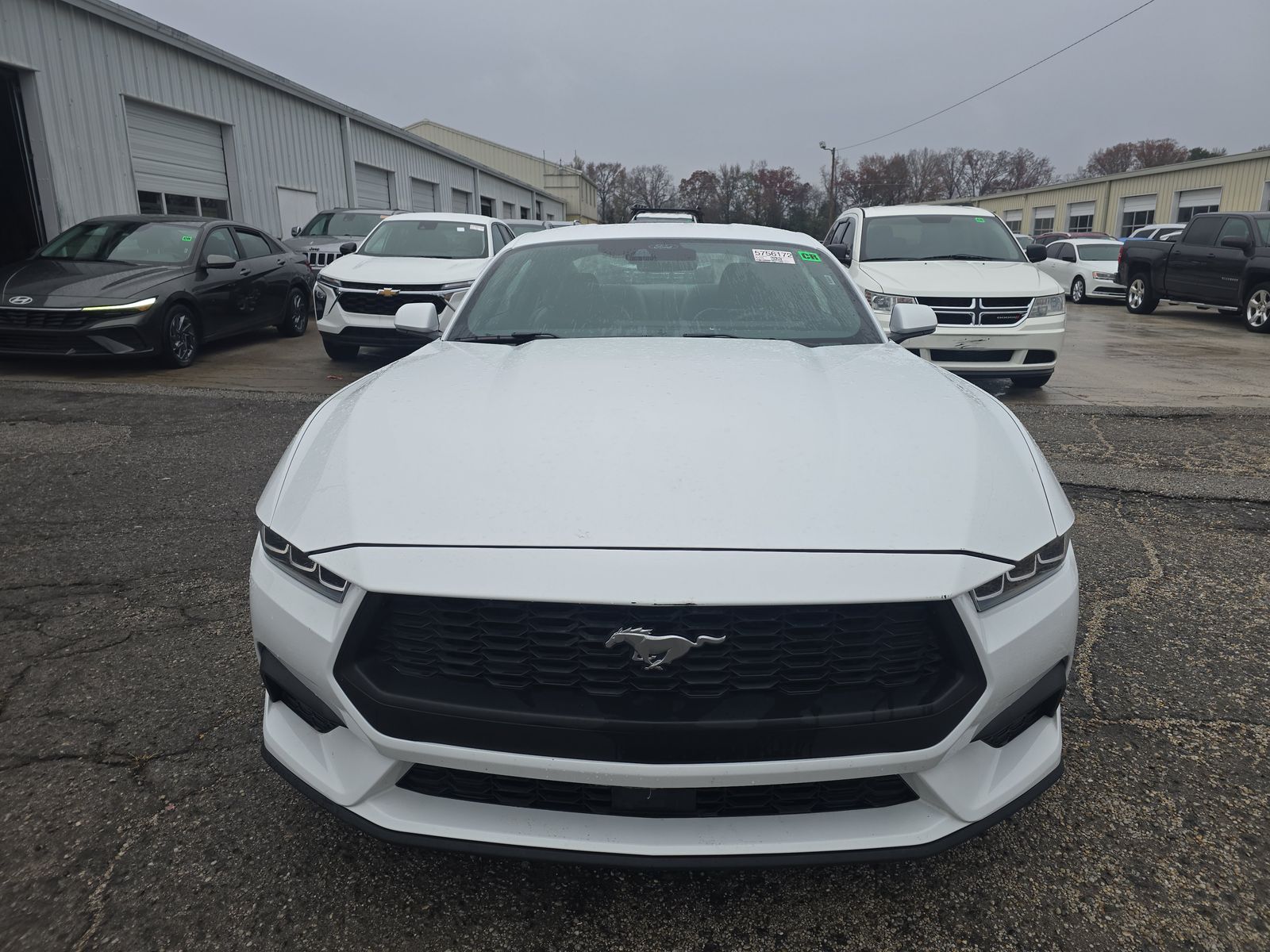 2024 Ford Mustang EcoBoost Premium RWD