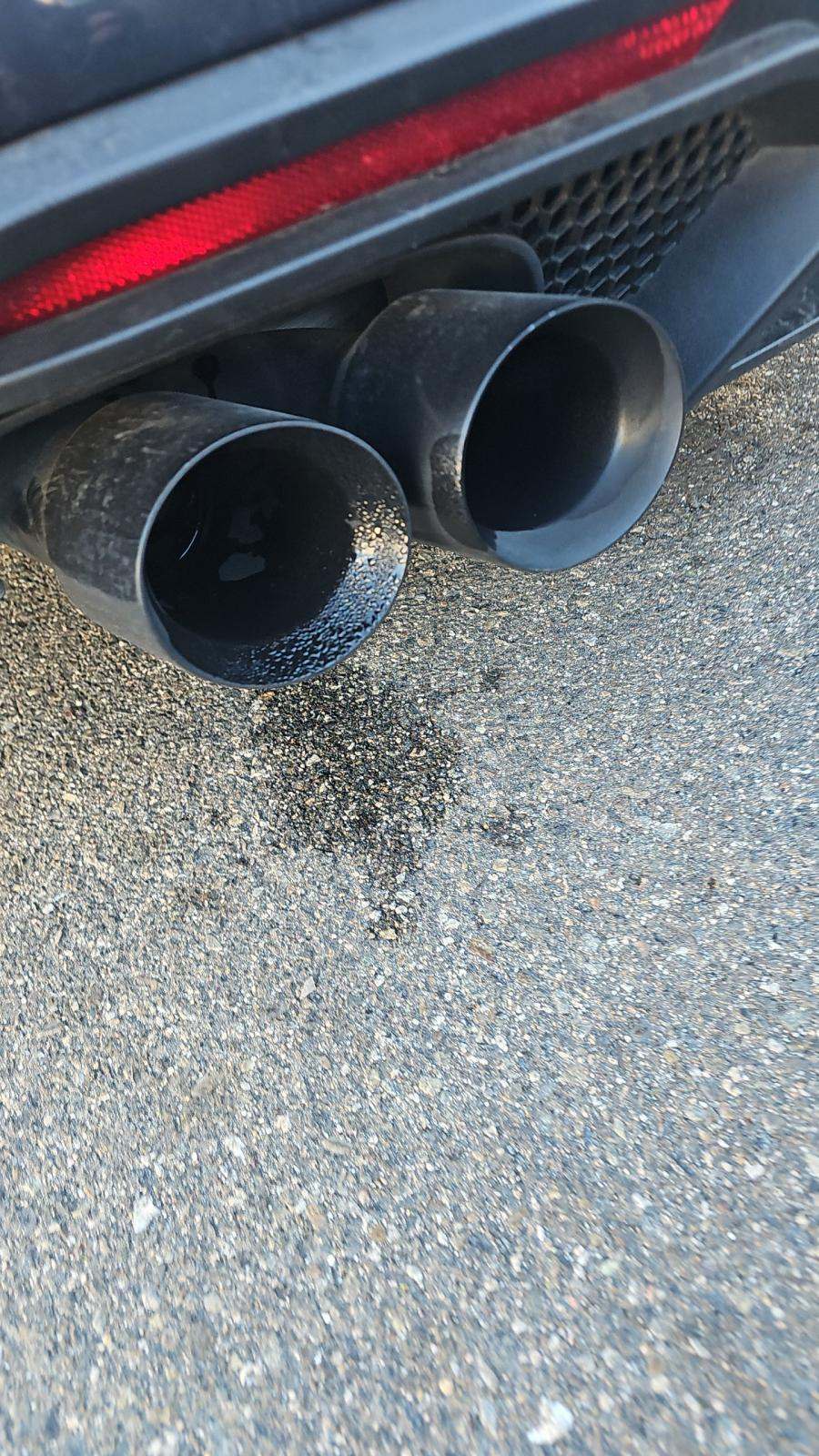 2022 Ford Mustang Mach 1 RWD