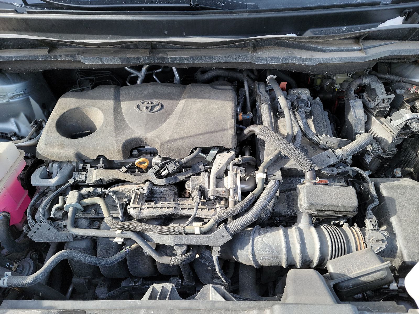 2021 Toyota Sienna LE FWD