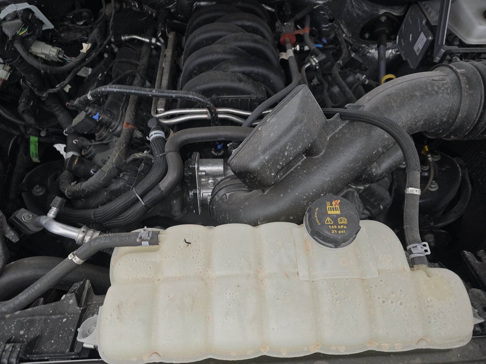 2025 Ford F-150 XLT AWD