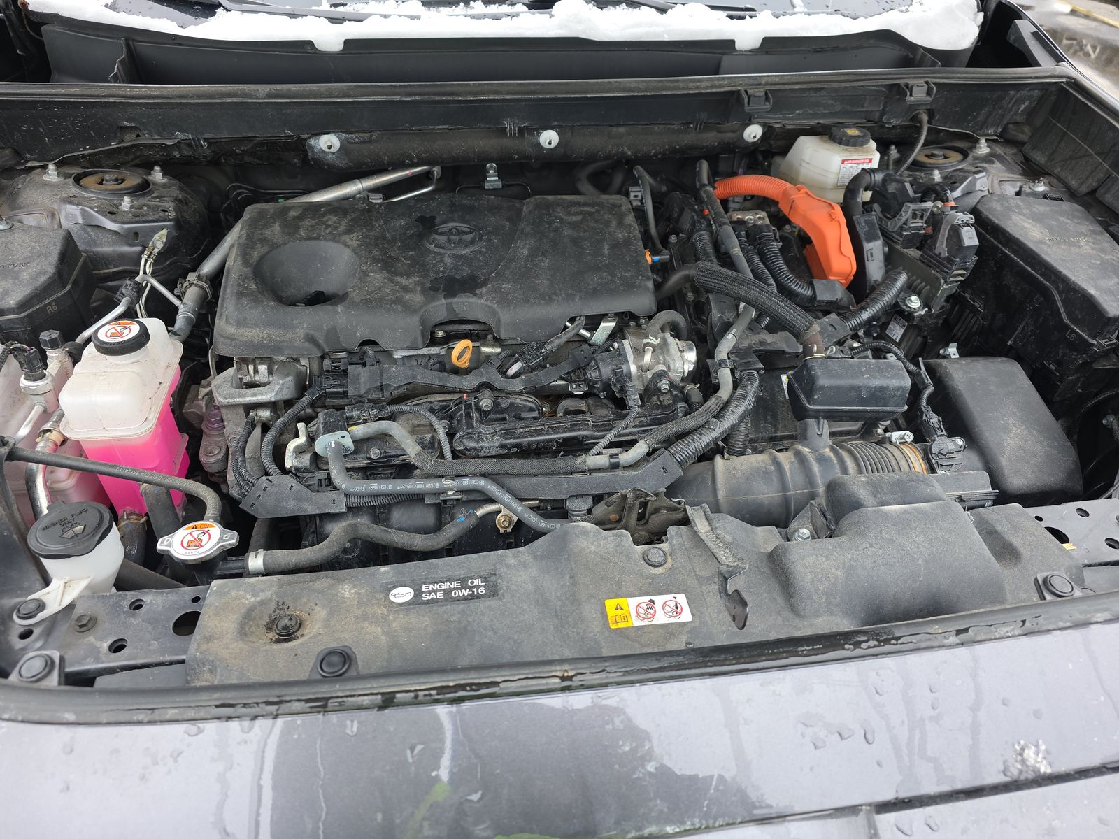 2024 Toyota RAV4 Hybrid LE AWD