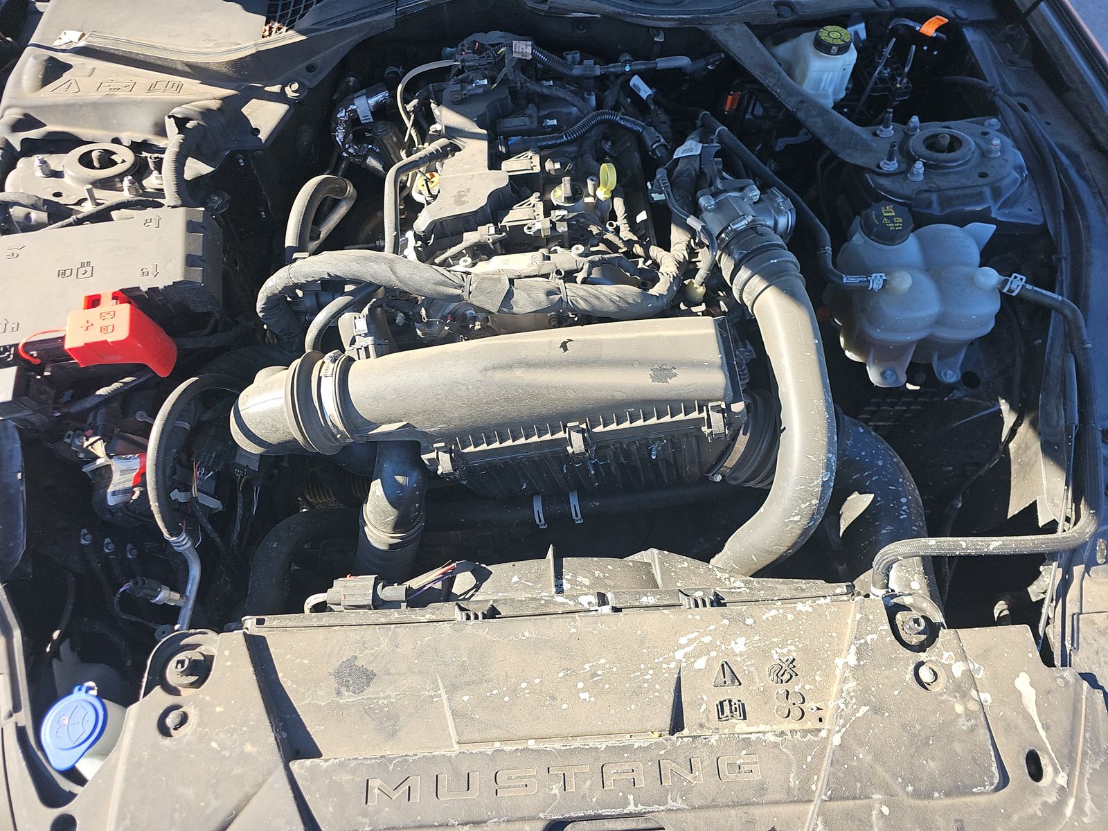 2024 Ford Mustang EcoBoost Premium RWD