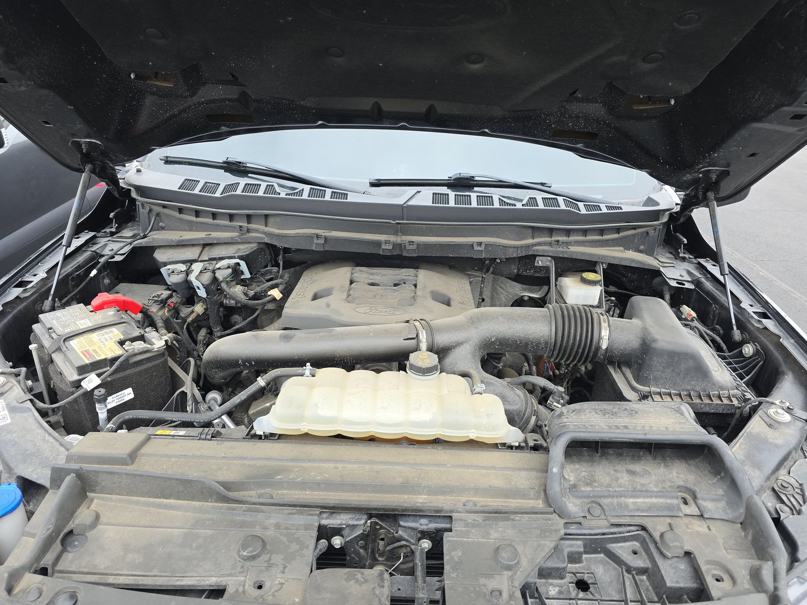 2023 Ford F-150 XLT AWD