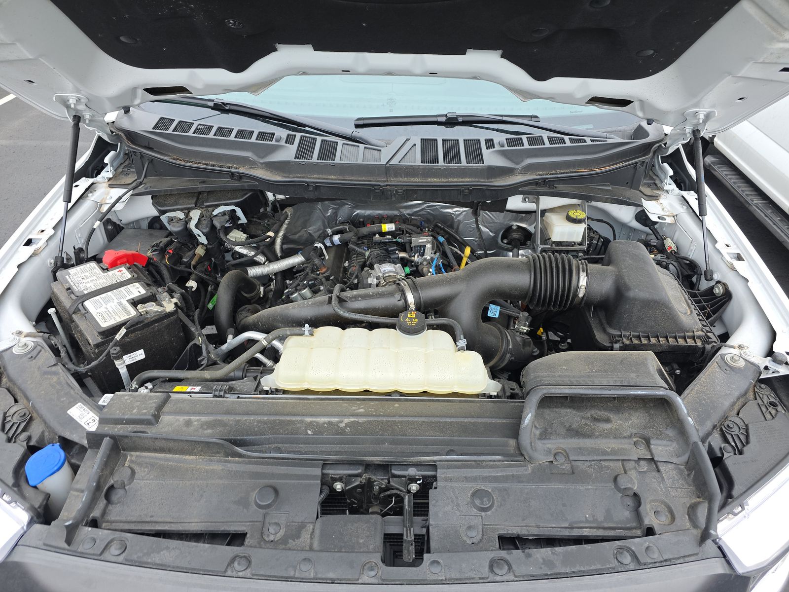 2023 Ford F-150 XLT AWD