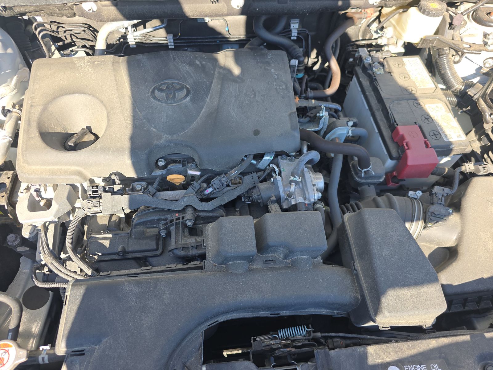 2024 Toyota RAV4 XLE AWD