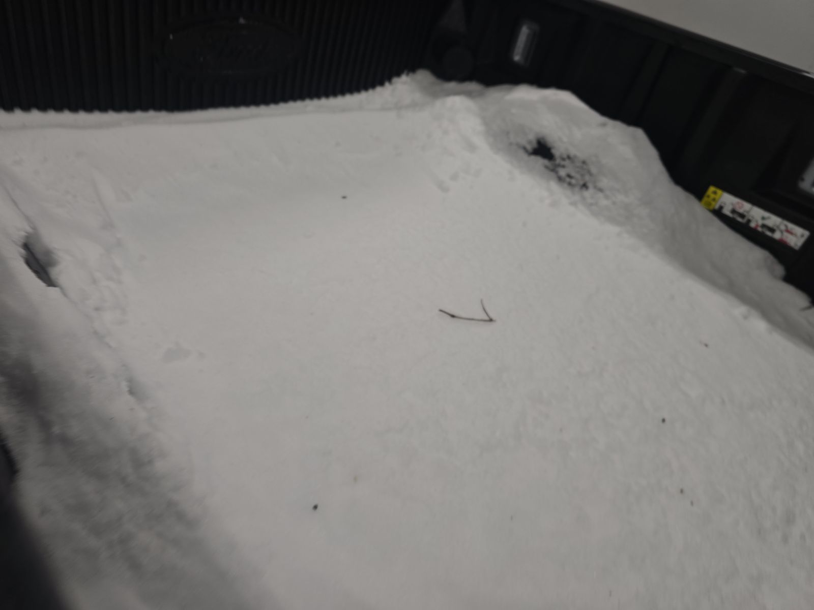 2025 Ford F-150 XLT AWD