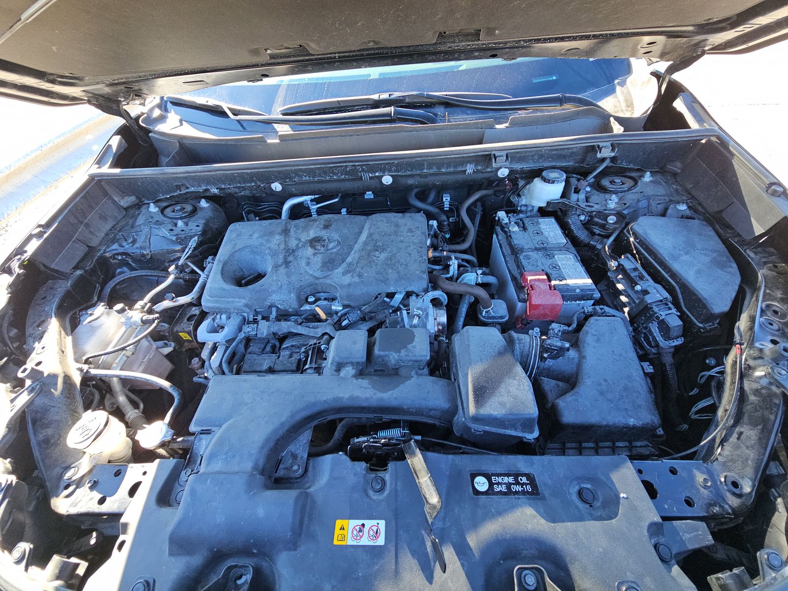 2024 Toyota RAV4 LE AWD