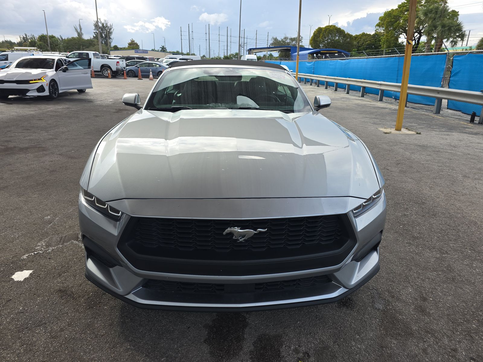 2024 Ford Mustang EcoBoost Premium RWD