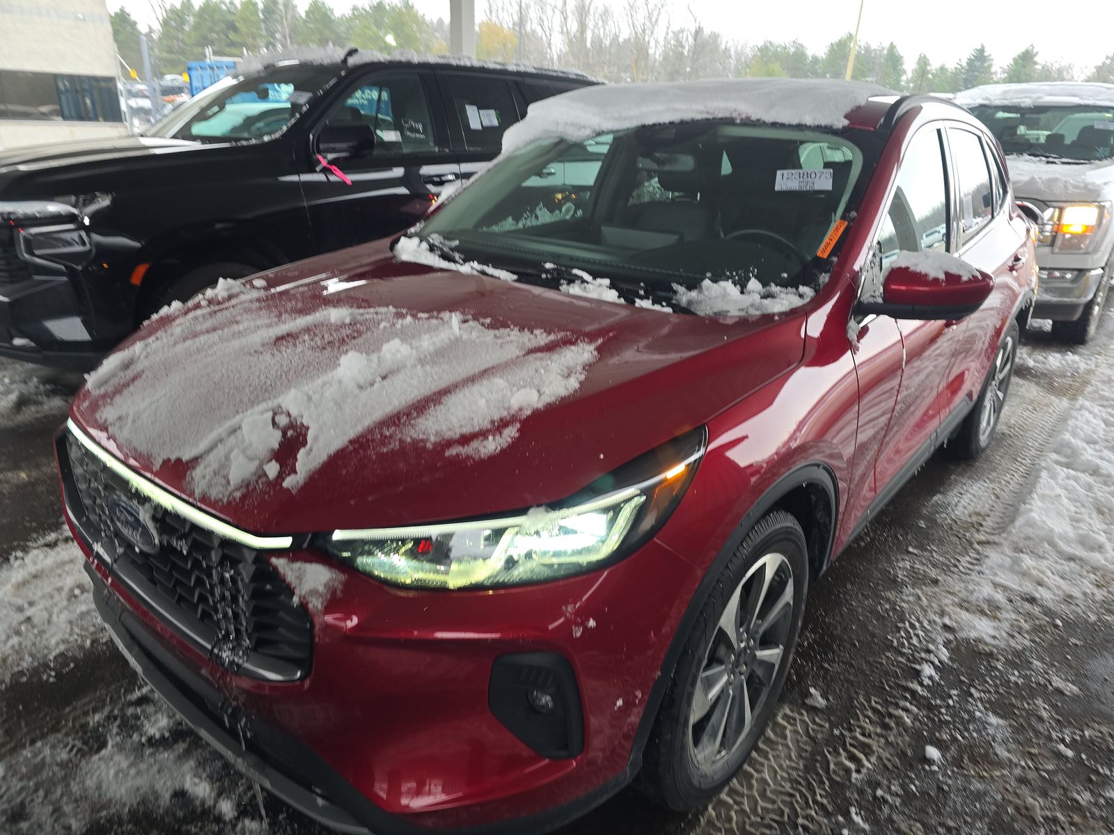 2024 Ford Escape Platinum AWD