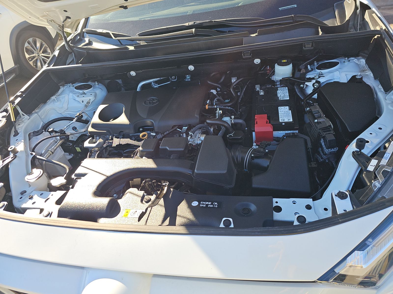 2024 Toyota RAV4 LE AWD