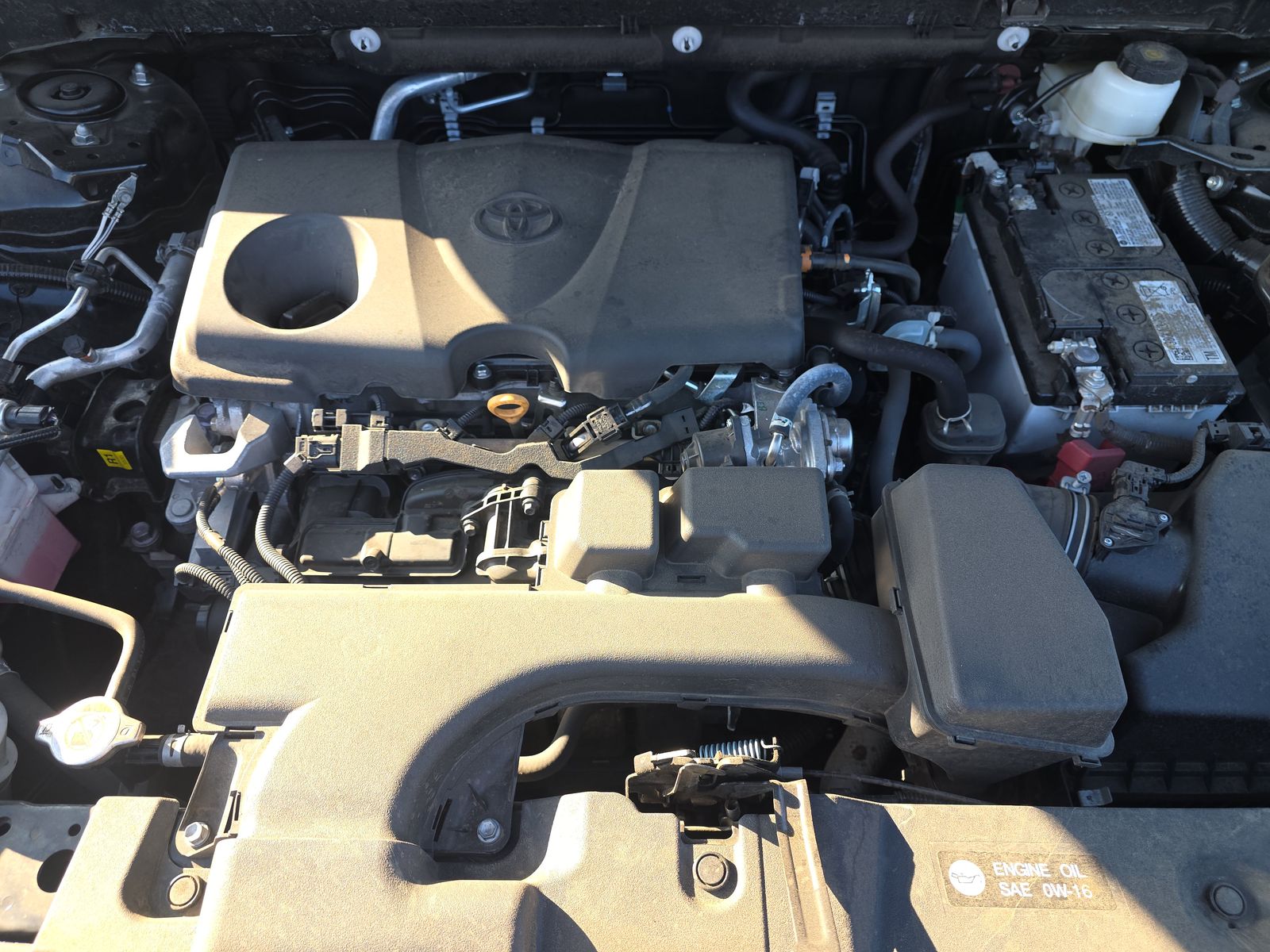 2024 Toyota RAV4 LE AWD