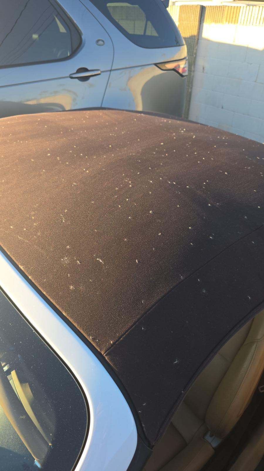 2013 Porsche Boxster Base RWD