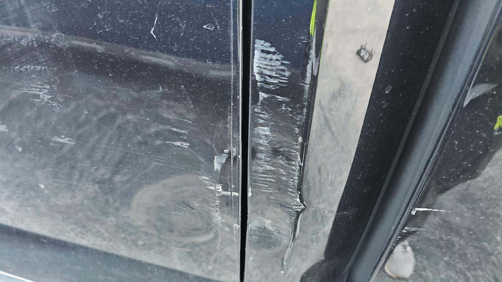 2024 Ford F-150 XLT RWD