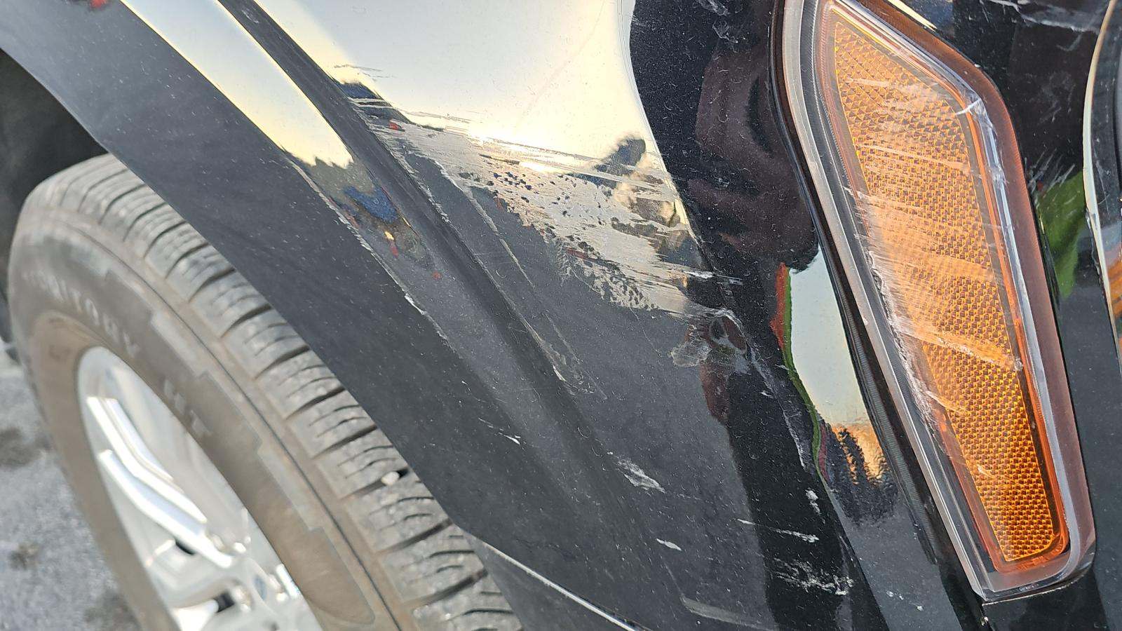 2024 Ford F-150 XLT RWD