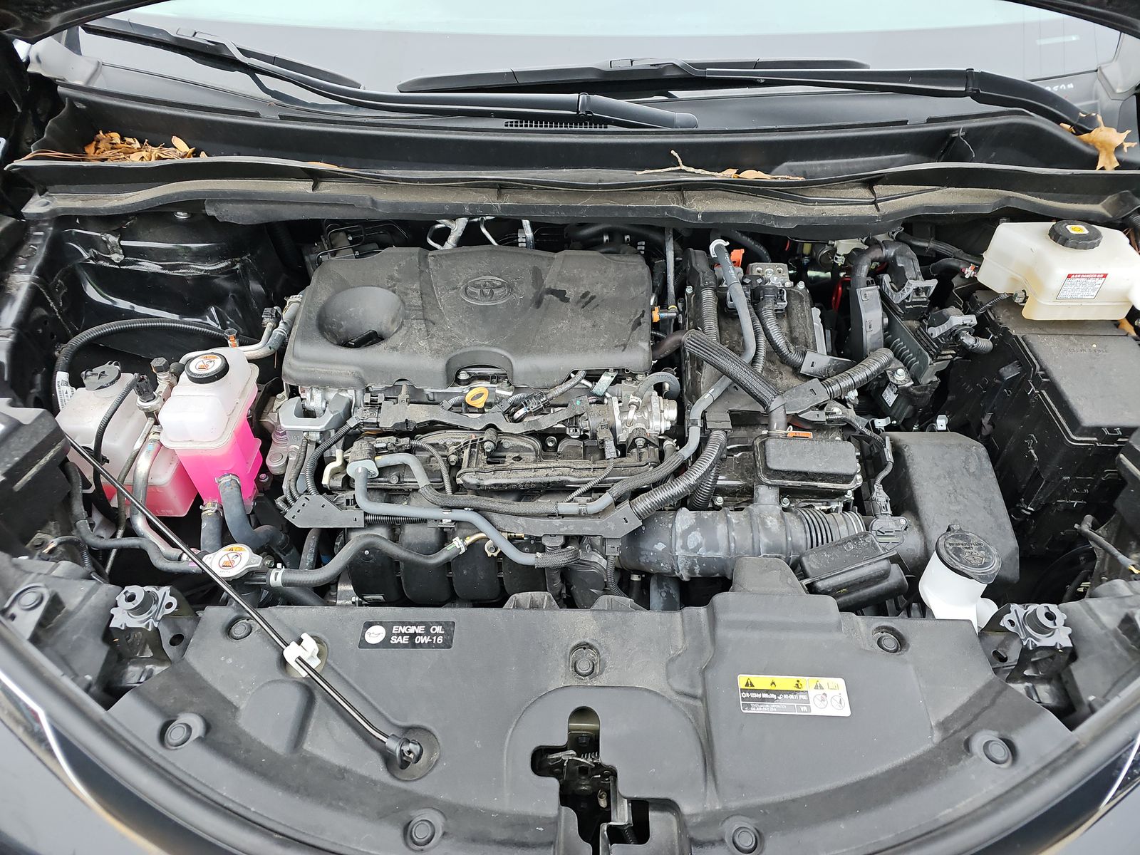 2024 Toyota Sienna LE FWD