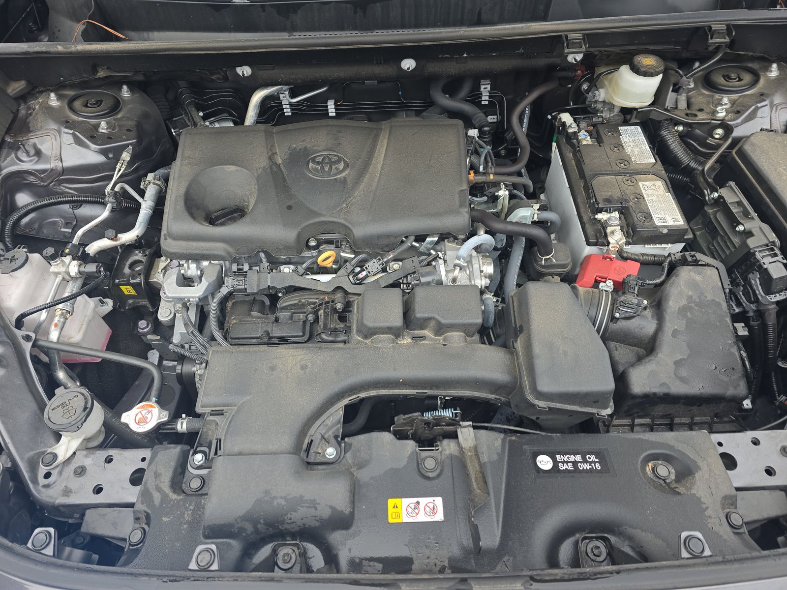 2025 Toyota RAV4 LE FWD