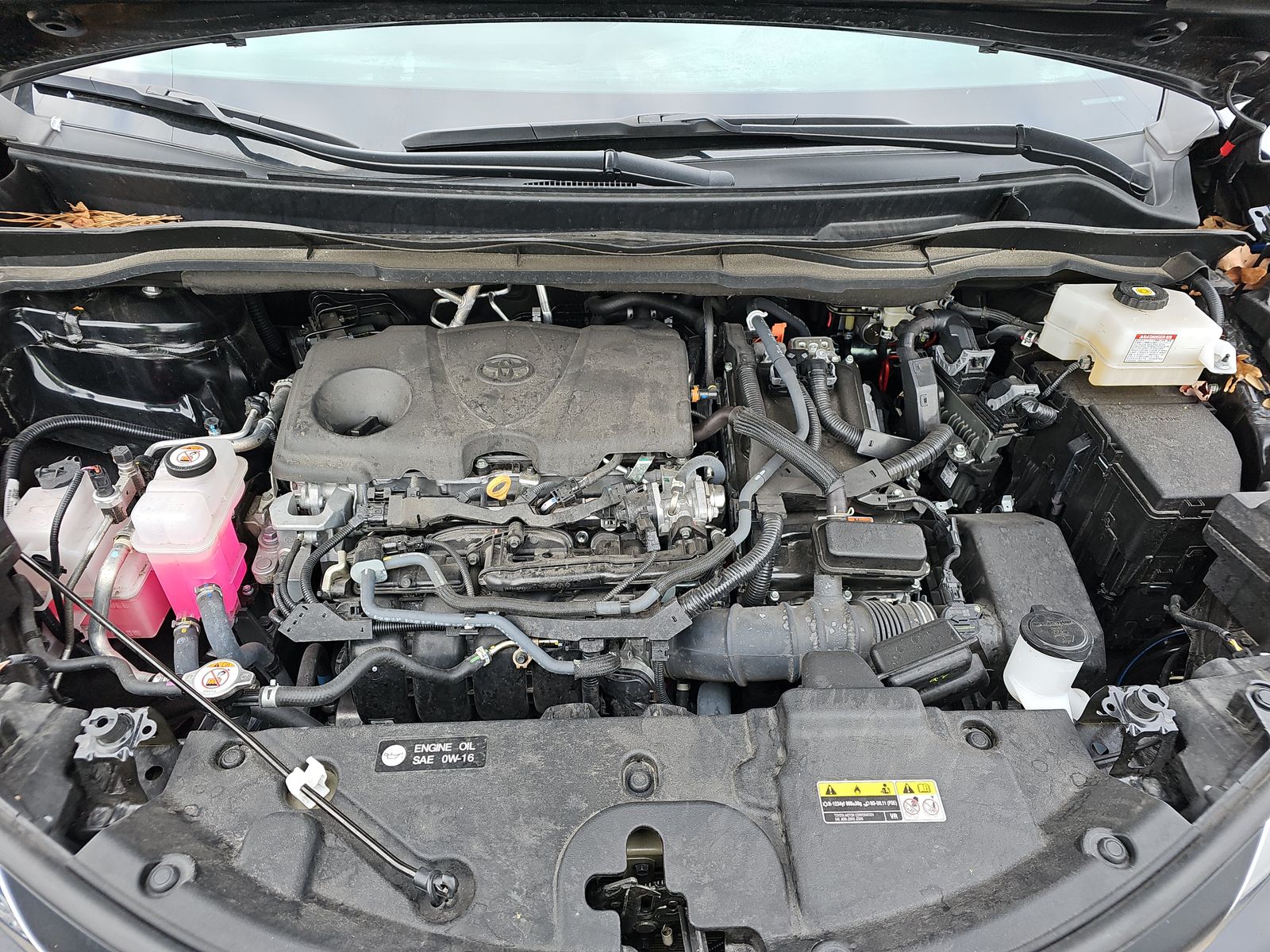 2024 Toyota Sienna LE FWD