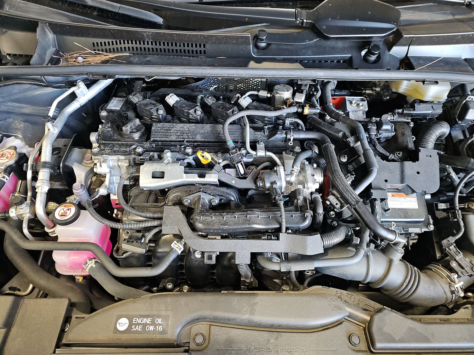 2024 Toyota Prius XLE FWD