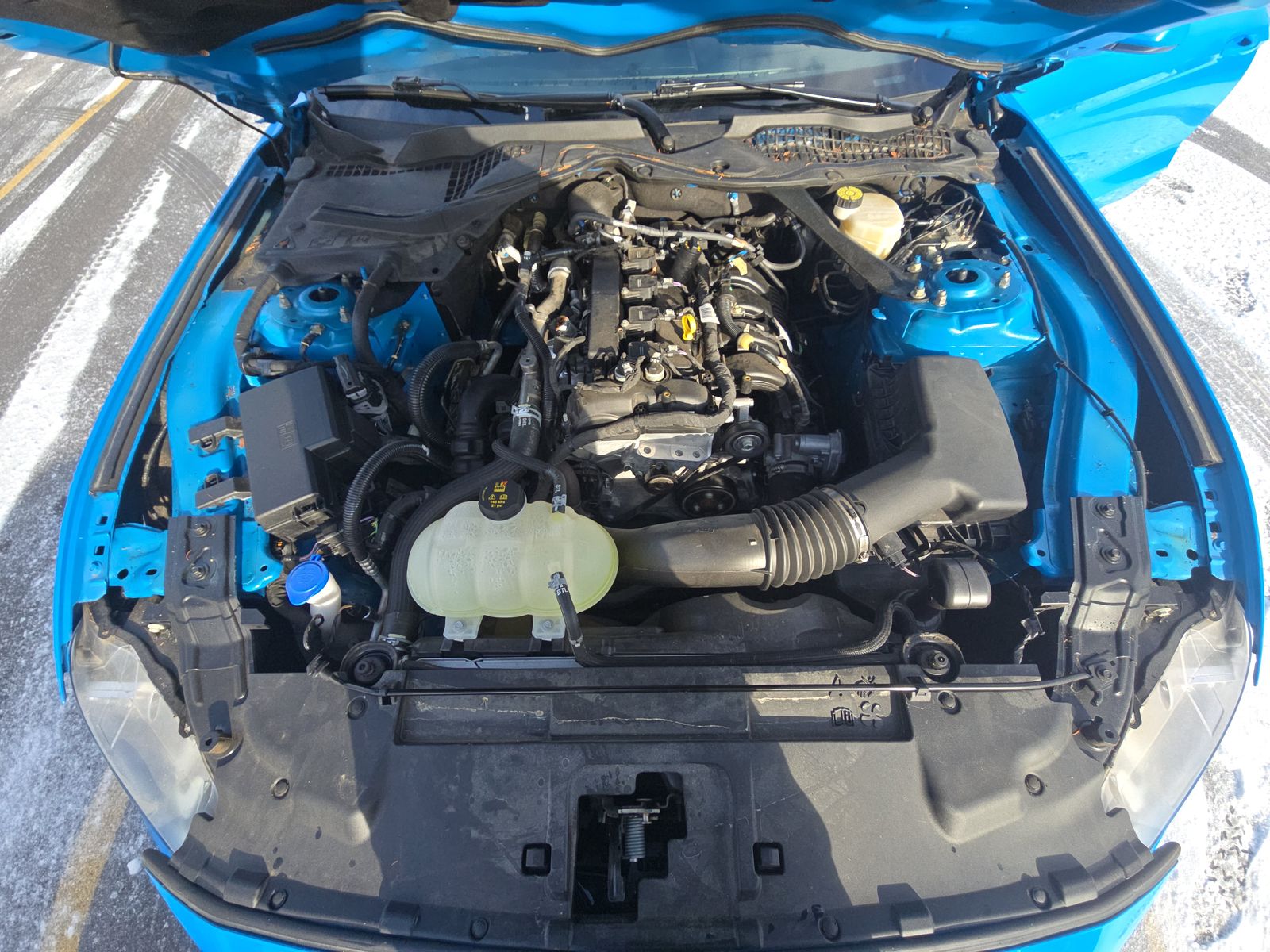 2022 Ford Mustang EcoBoost RWD