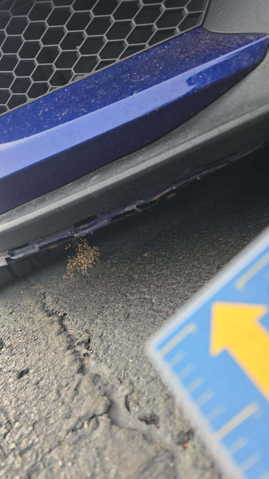 2016 Ford Mustang Shelby GT350 RWD