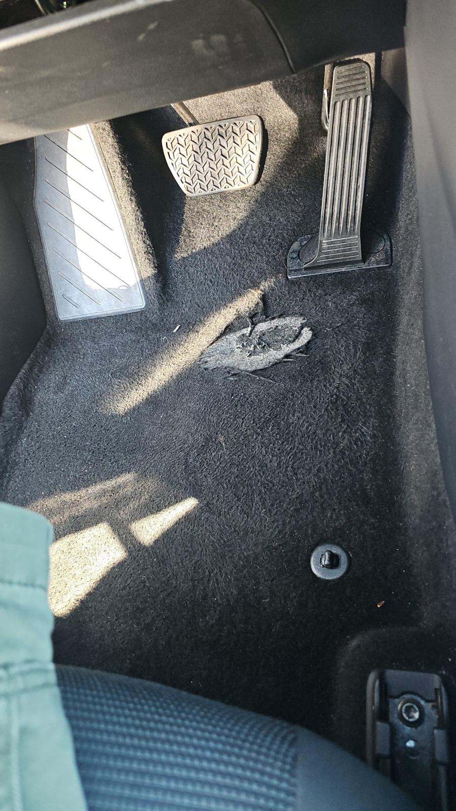 2024 Toyota RAV4 LE AWD