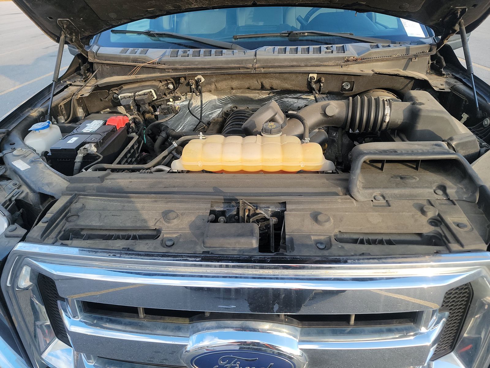 2015 Ford F-150 XLT RWD