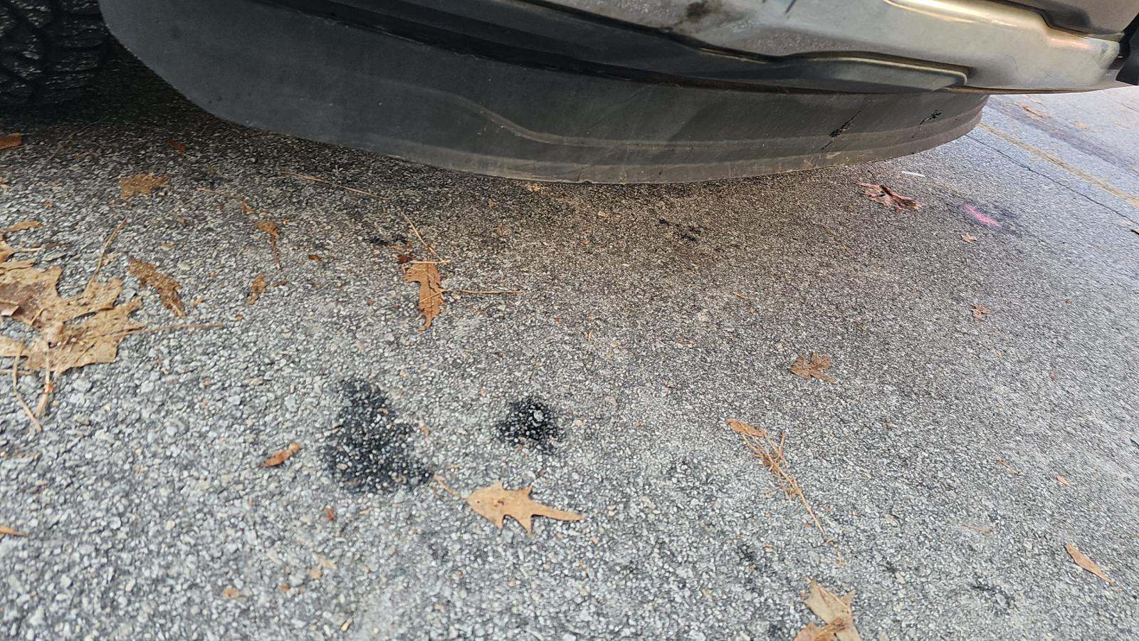 2015 Ford F-150 XLT RWD