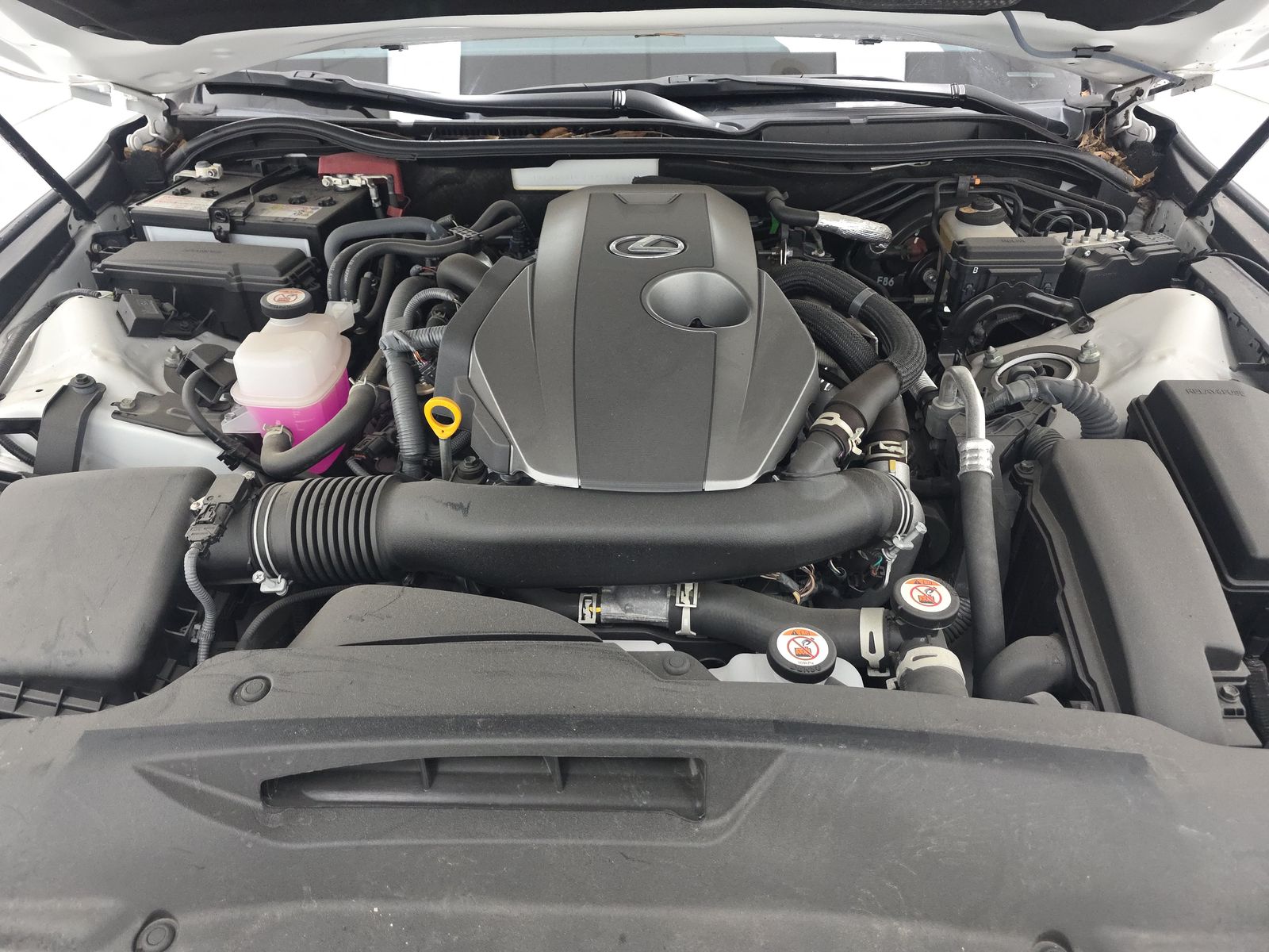 2023 Lexus IS IS 300 RWD