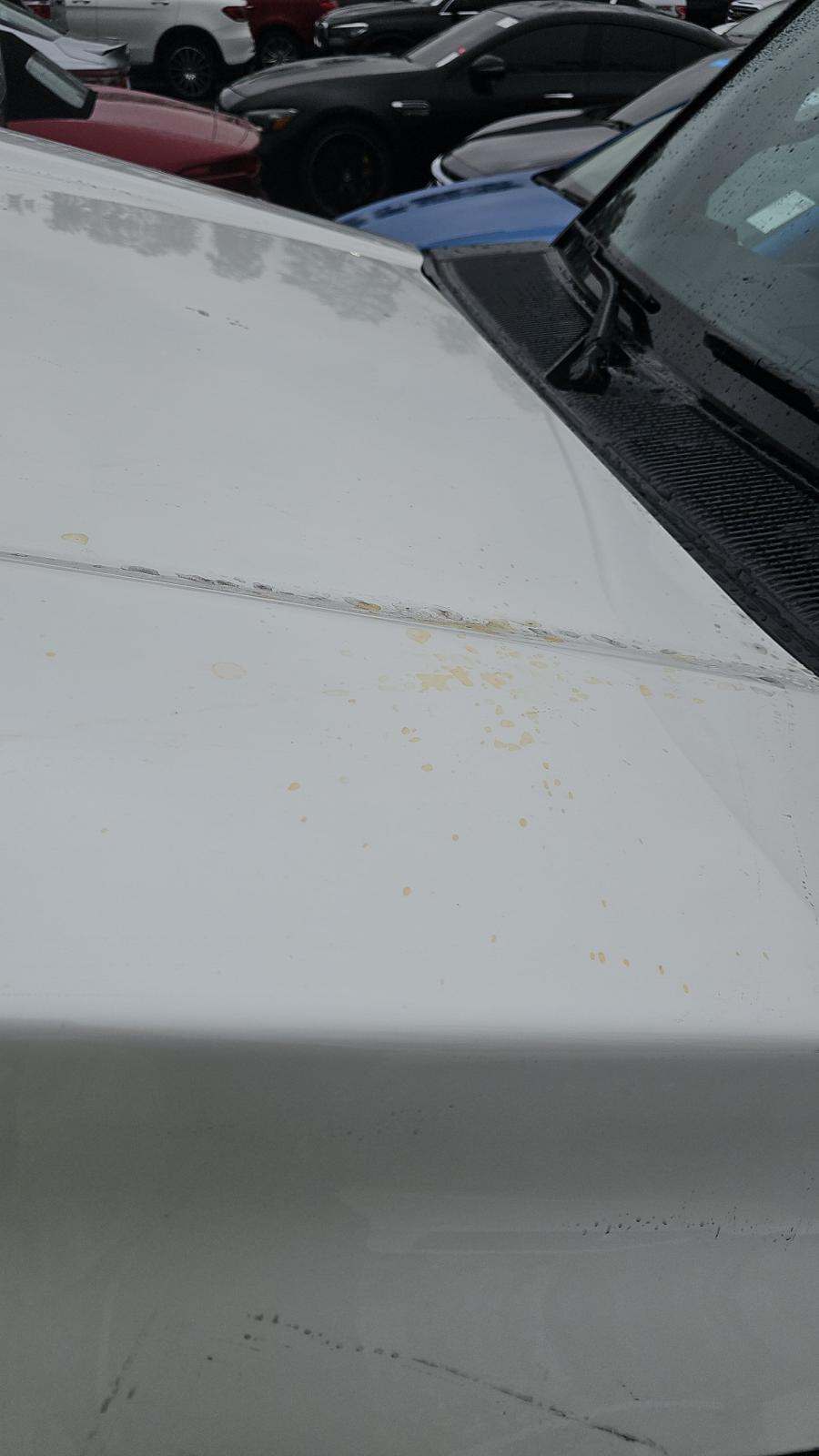 2024 Lexus GX GX 550 Luxury AWD