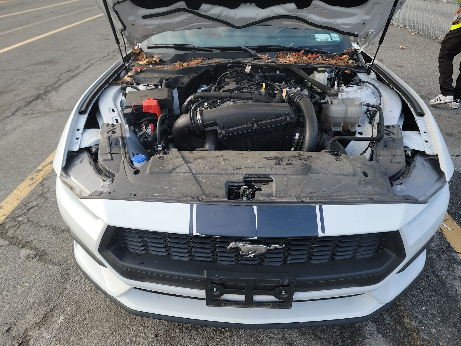 2024 Ford Mustang EcoBoost Premium RWD