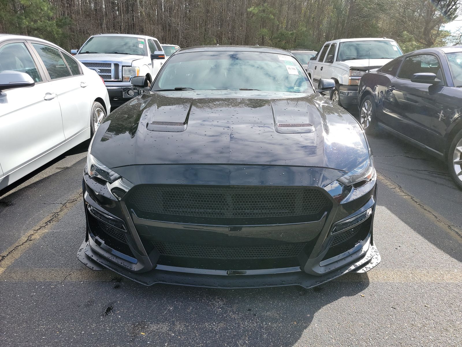 2019 Ford Mustang GT Premium RWD