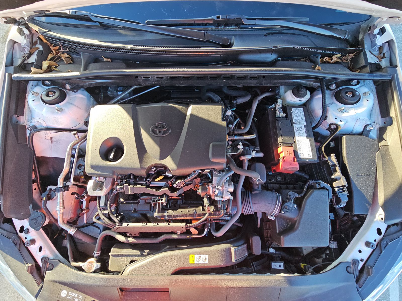 2024 Toyota Camry LE FWD