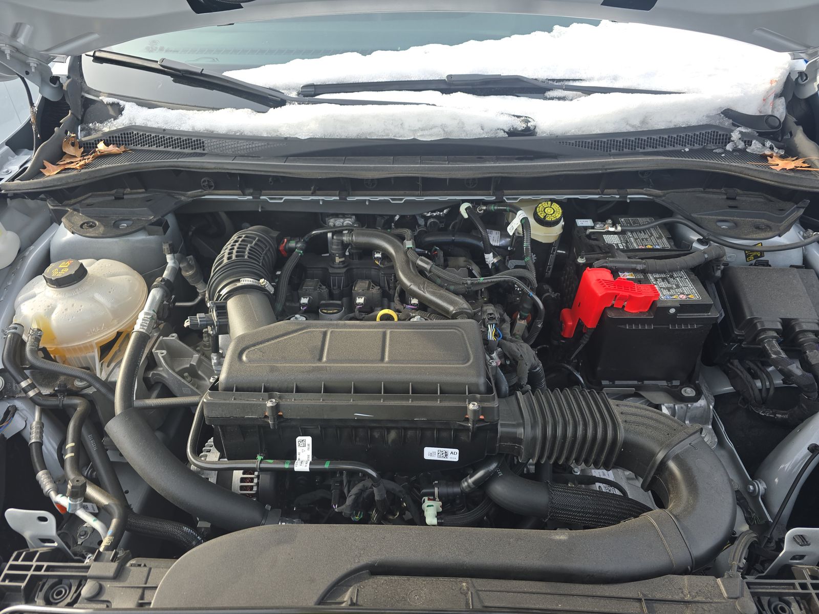 2025 Ford Escape ST-Line FWD