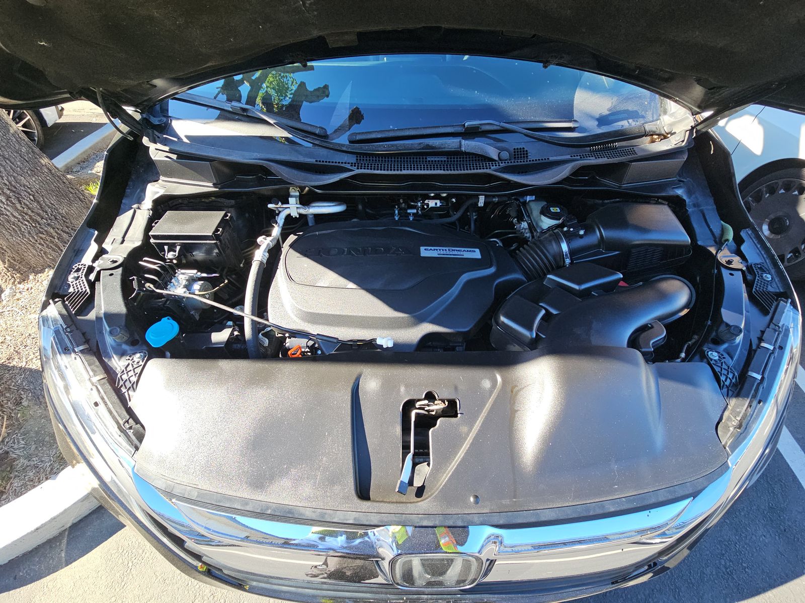 2019 Honda Odyssey Elite FWD