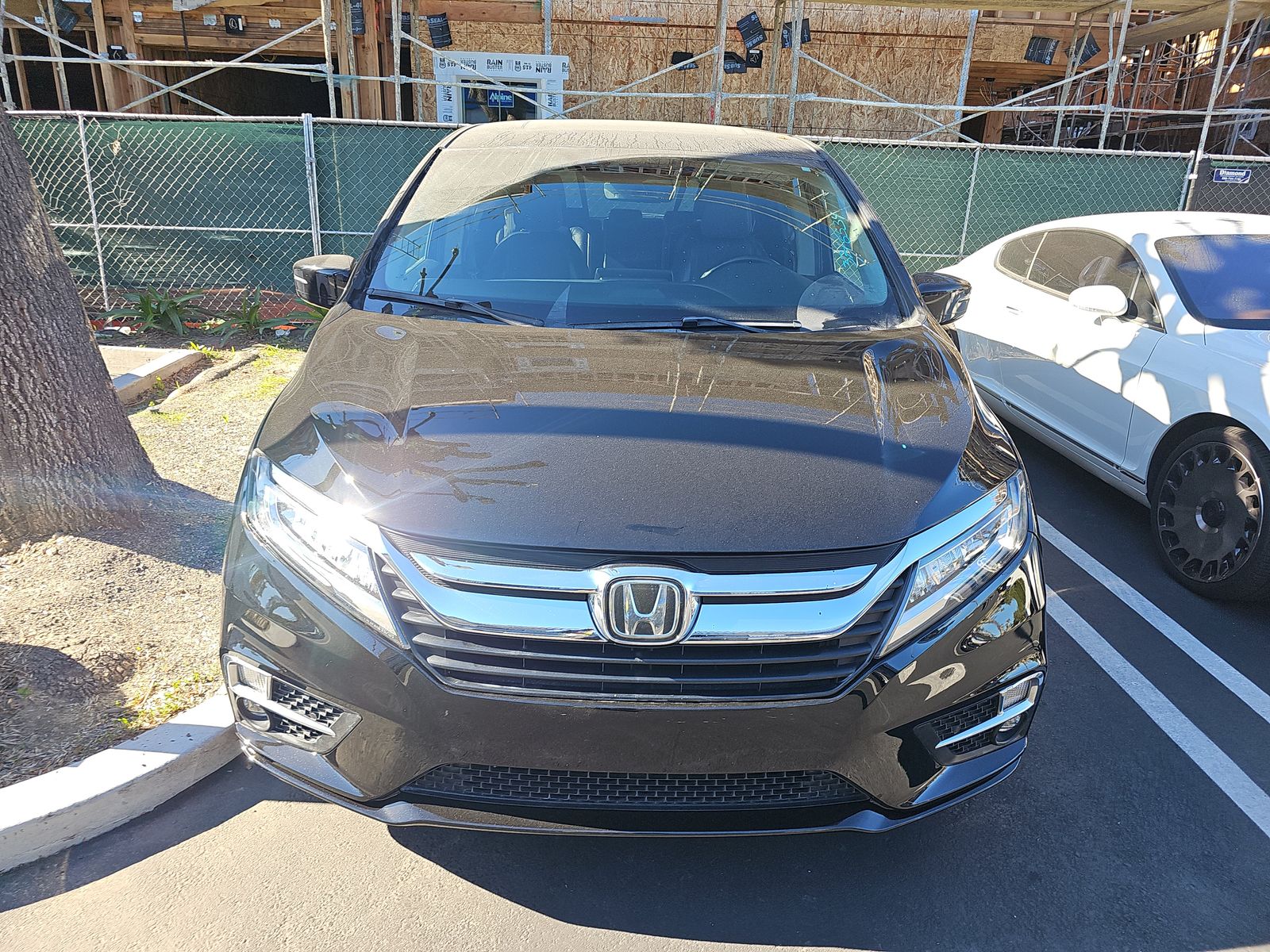 2019 Honda Odyssey Elite FWD