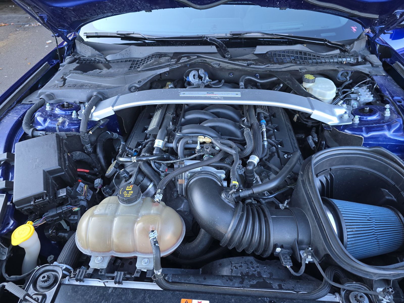 2016 Ford Mustang Shelby GT350 RWD