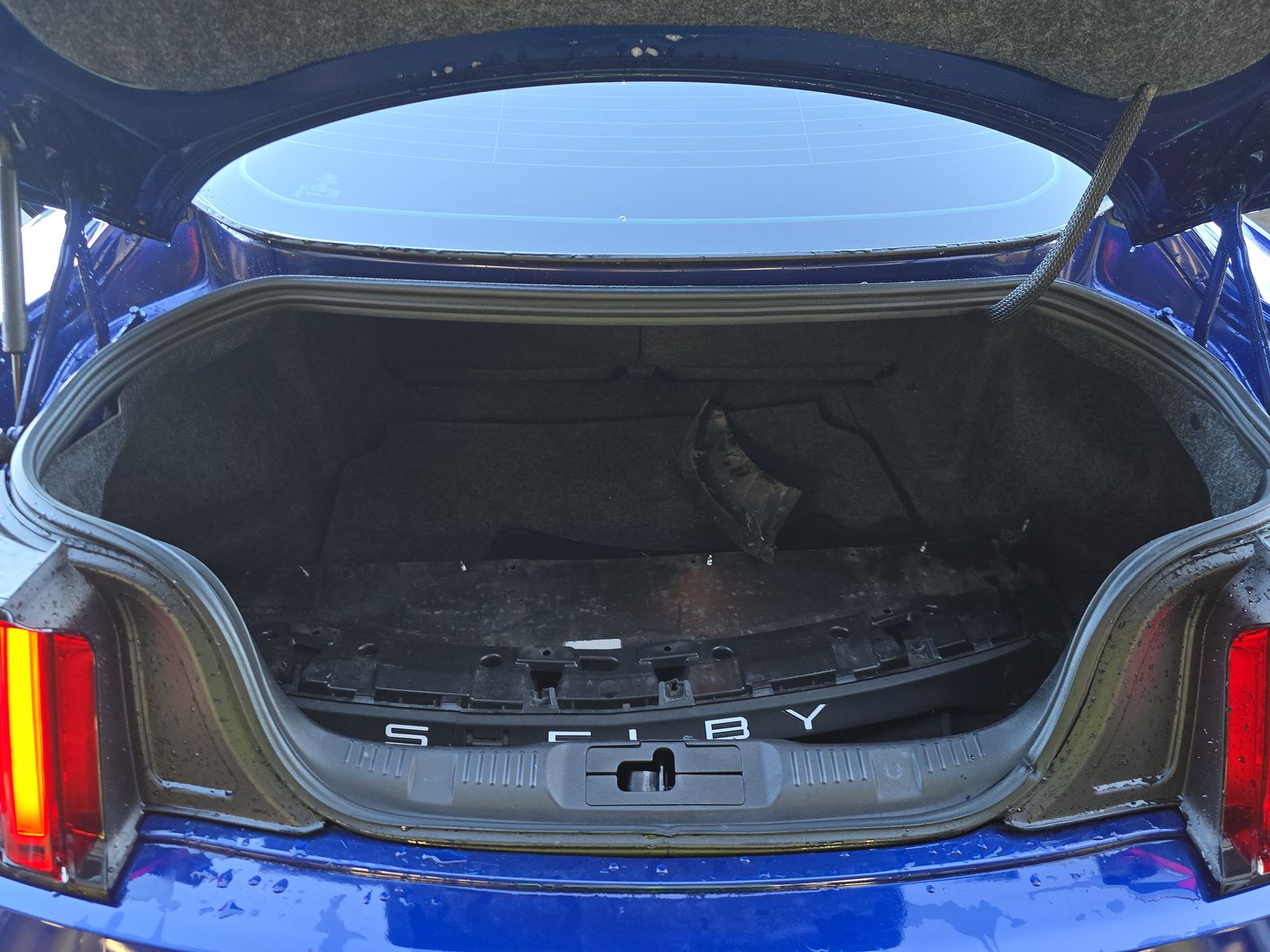 2016 Ford Mustang Shelby GT350 RWD